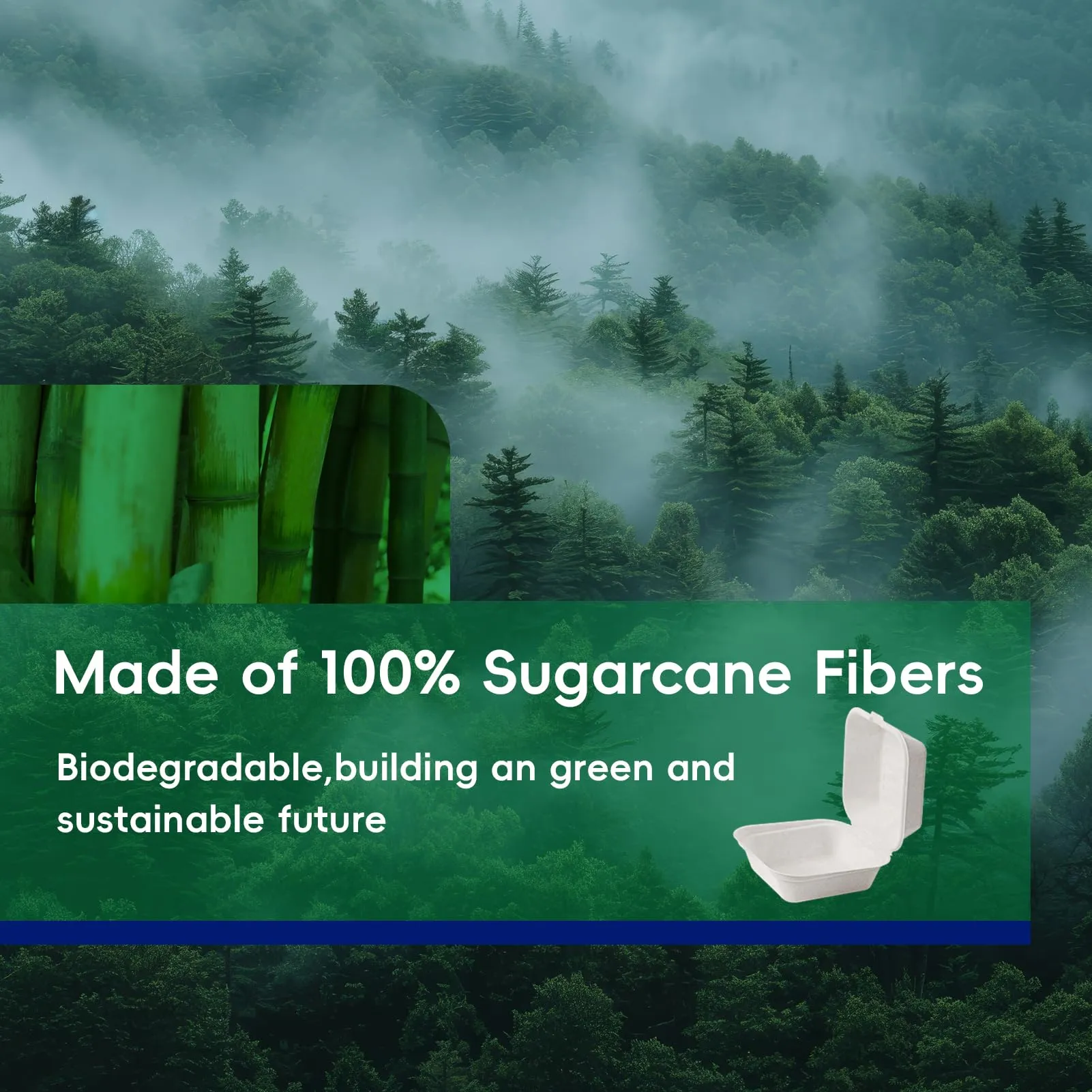 Compostable Clamshell Take Out Food Containers