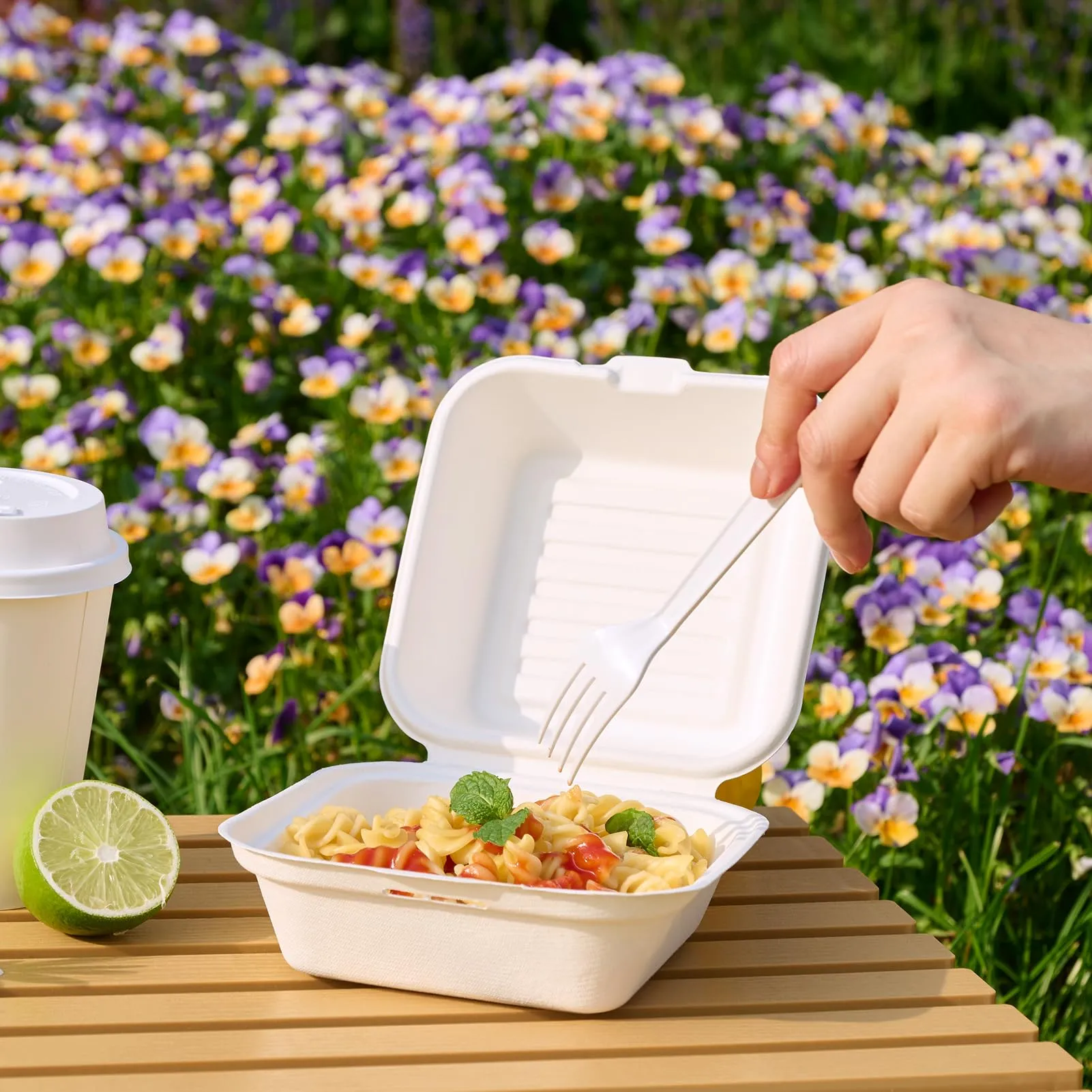 Compostable Clamshell Take Out Food Containers
